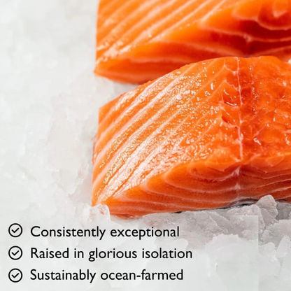Big Glory Bay New Zealand King Salmon